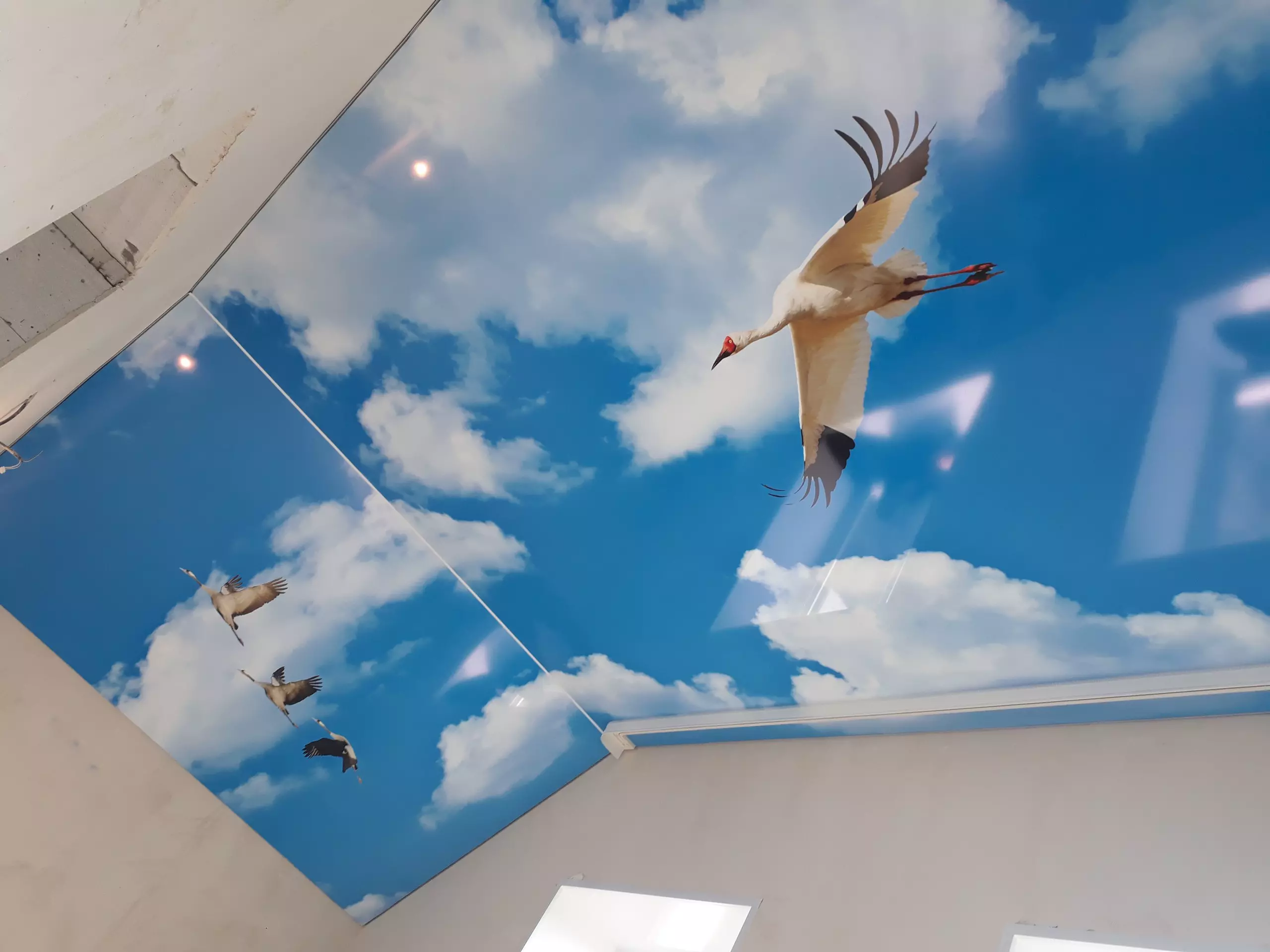 Натяжной потолок в детскую, фото 2