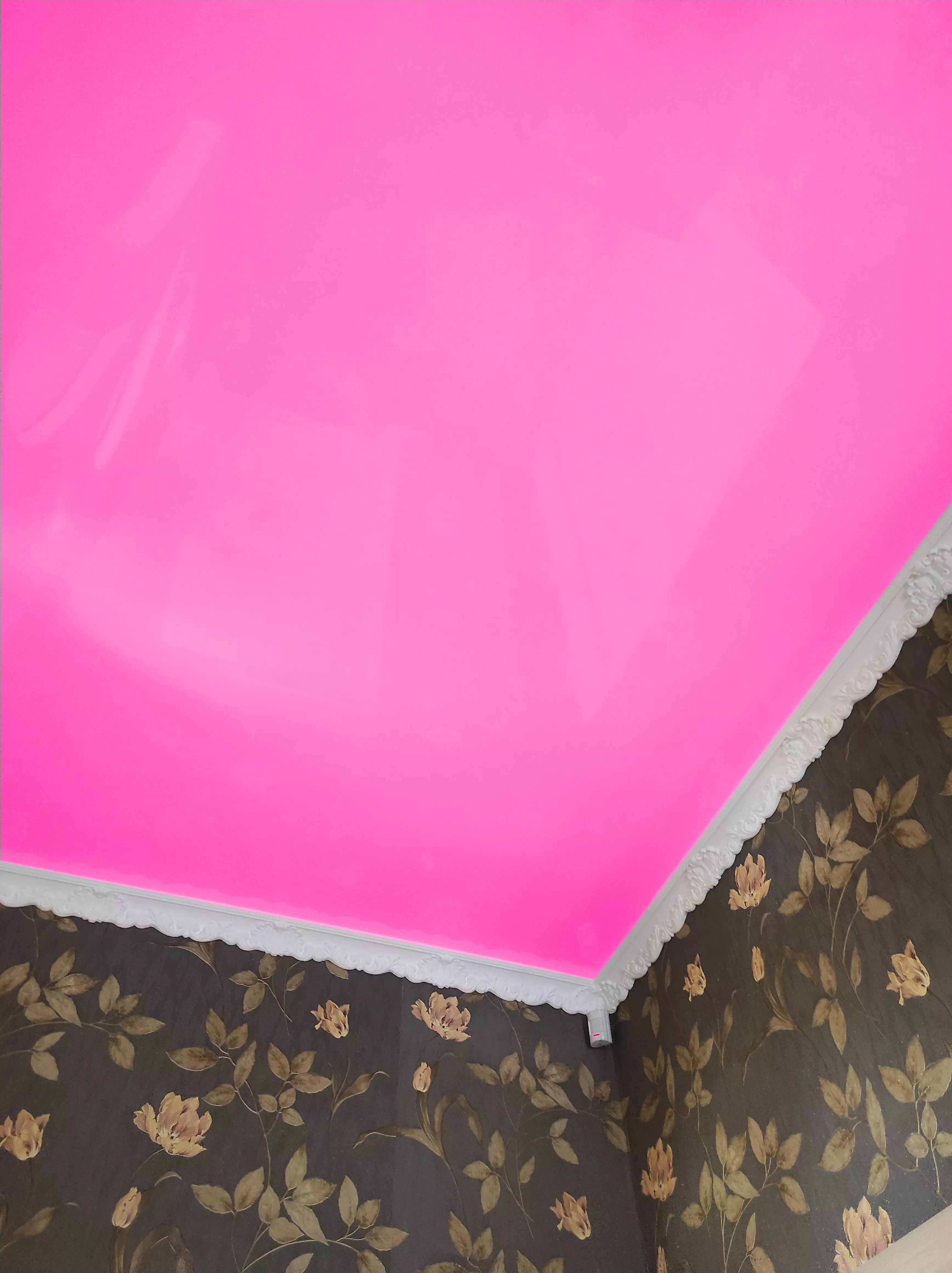 Астрахань, Боевая, 78, фото 2